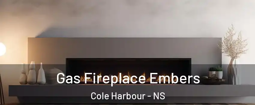  Gas Fireplace Embers Cole Harbour - NS