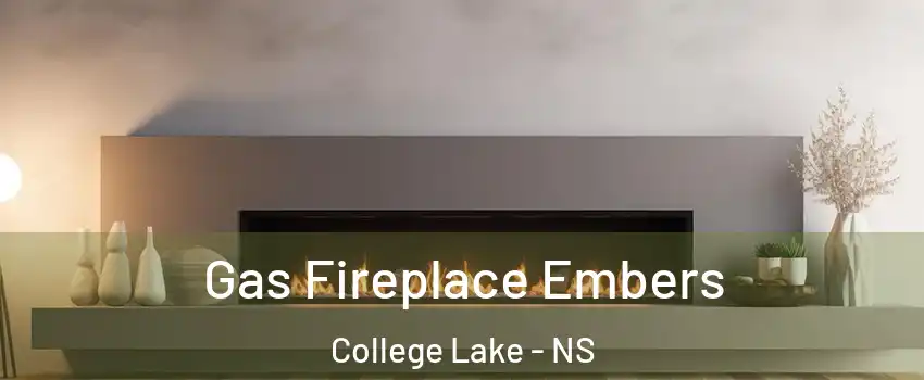  Gas Fireplace Embers College Lake - NS