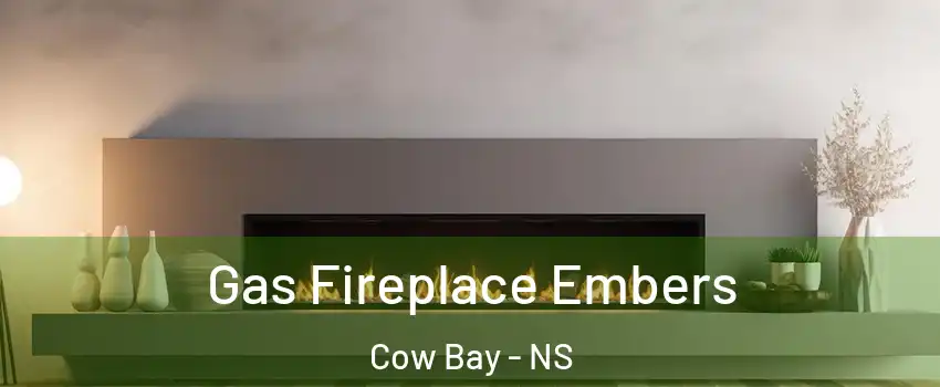  Gas Fireplace Embers Cow Bay - NS