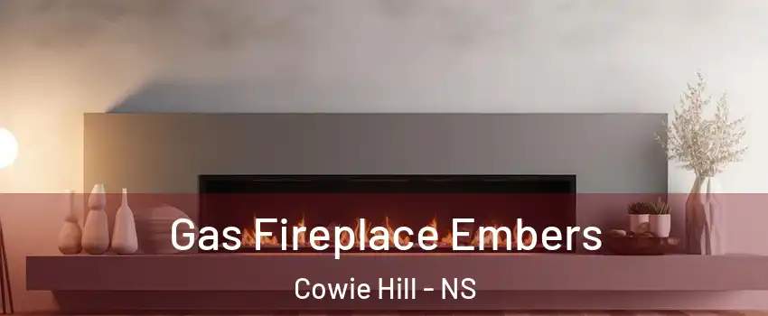  Gas Fireplace Embers Cowie Hill - NS