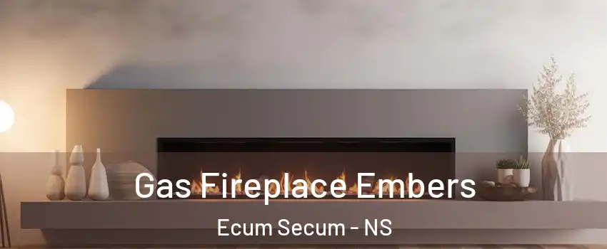  Gas Fireplace Embers Ecum Secum - NS