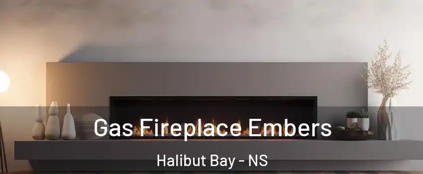  Gas Fireplace Embers Halibut Bay - NS