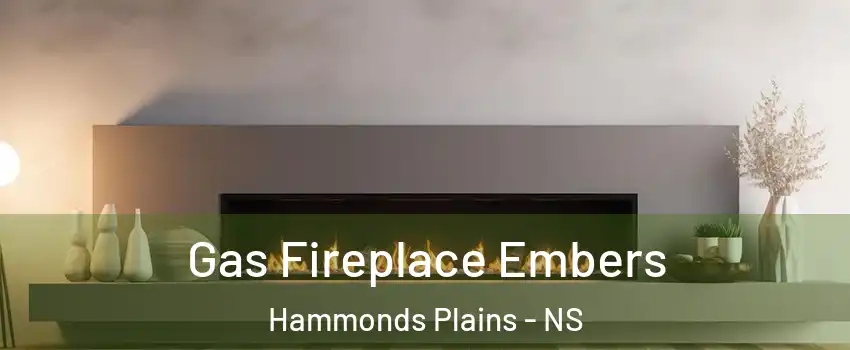  Gas Fireplace Embers Hammonds Plains - NS