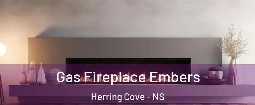  Gas Fireplace Embers Herring Cove - NS
