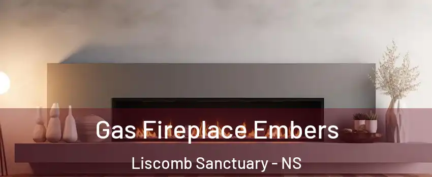  Gas Fireplace Embers Liscomb Sanctuary - NS