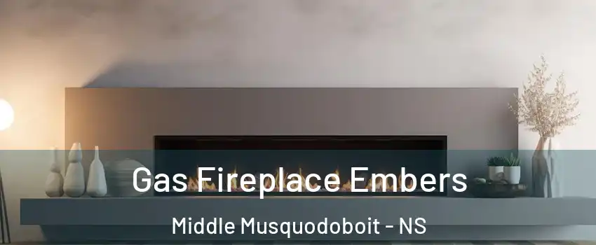  Gas Fireplace Embers Middle Musquodoboit - NS