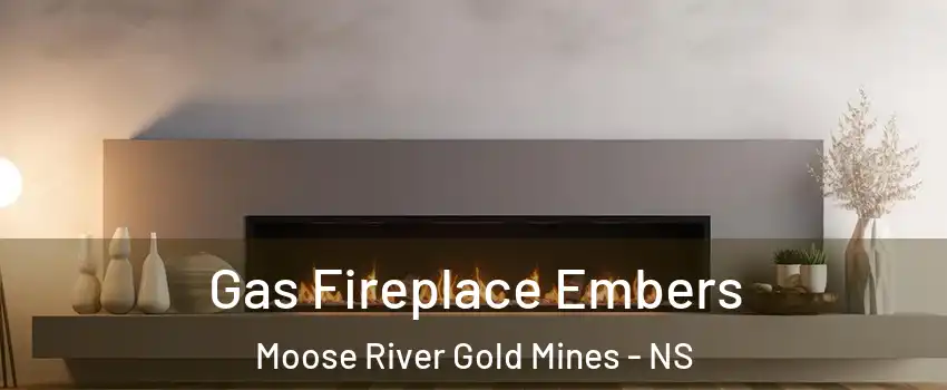  Gas Fireplace Embers Moose River Gold Mines - NS