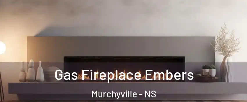  Gas Fireplace Embers Murchyville - NS