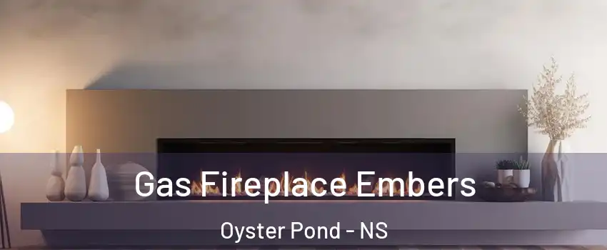  Gas Fireplace Embers Oyster Pond - NS