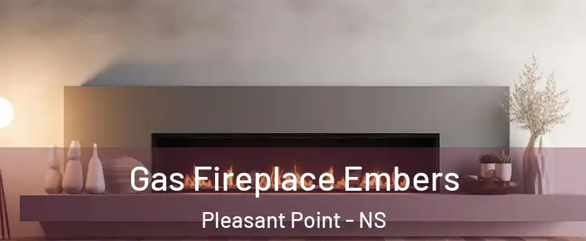  Gas Fireplace Embers Pleasant Point - NS