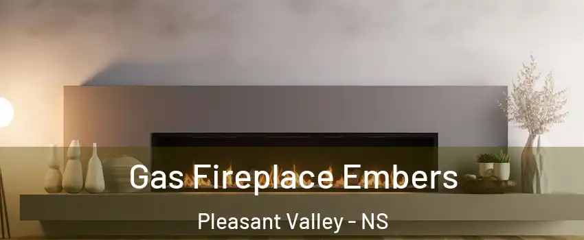  Gas Fireplace Embers Pleasant Valley - NS