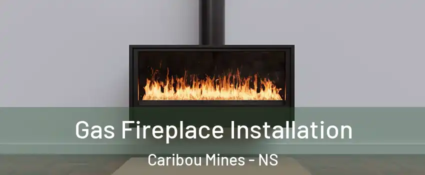  Gas Fireplace Installation Caribou Mines - NS