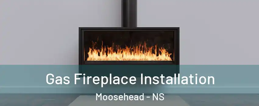  Gas Fireplace Installation Moosehead - NS