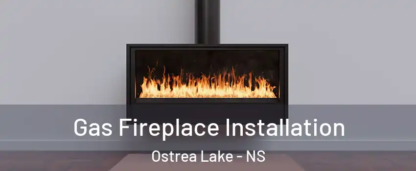  Gas Fireplace Installation Ostrea Lake - NS