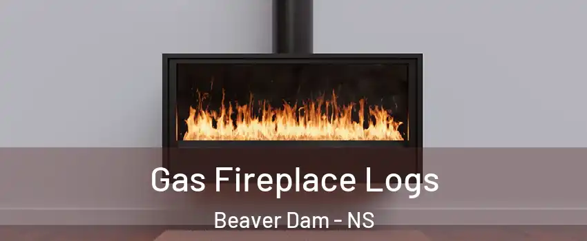  Gas Fireplace Logs Beaver Dam - NS