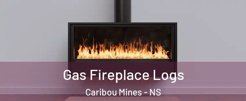  Gas Fireplace Logs Caribou Mines - NS