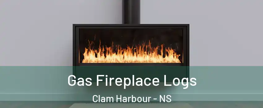  Gas Fireplace Logs Clam Harbour - NS