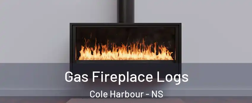  Gas Fireplace Logs Cole Harbour - NS