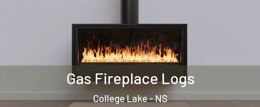  Gas Fireplace Logs College Lake - NS