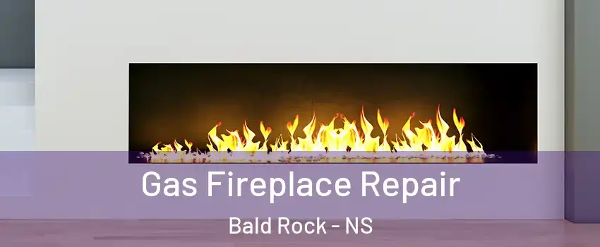  Gas Fireplace Repair Bald Rock - NS