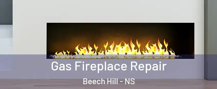  Gas Fireplace Repair Beech Hill - NS
