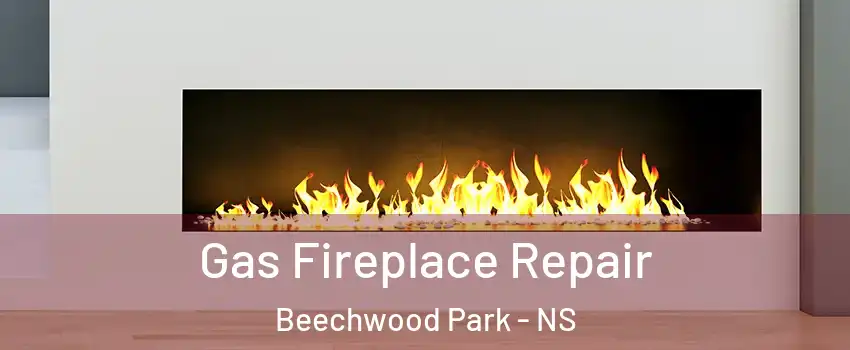  Gas Fireplace Repair Beechwood Park - NS
