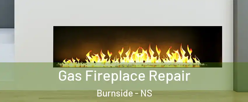  Gas Fireplace Repair Burnside - NS