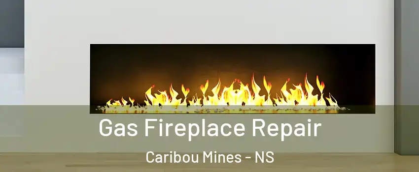  Gas Fireplace Repair Caribou Mines - NS