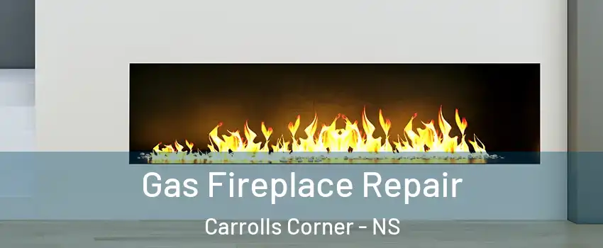  Gas Fireplace Repair Carrolls Corner - NS