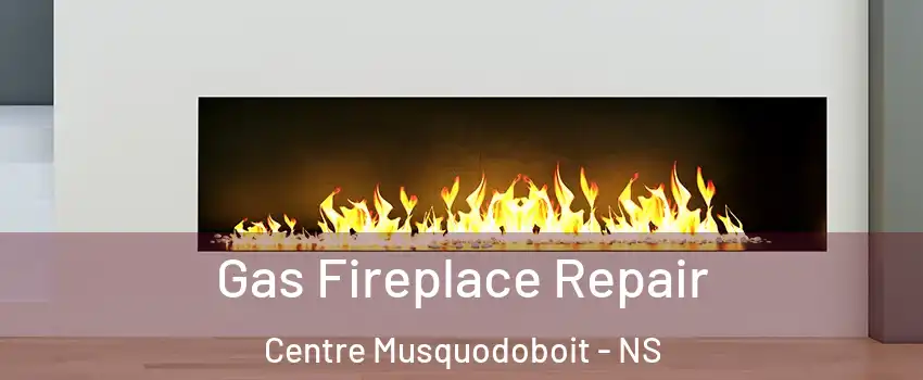  Gas Fireplace Repair Centre Musquodoboit - NS