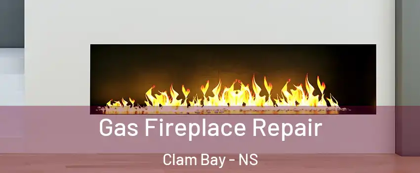  Gas Fireplace Repair Clam Bay - NS