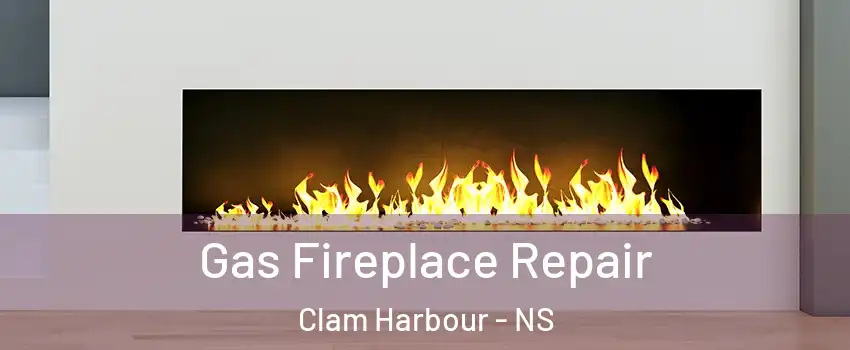  Gas Fireplace Repair Clam Harbour - NS