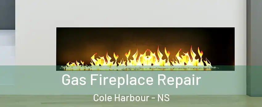  Gas Fireplace Repair Cole Harbour - NS