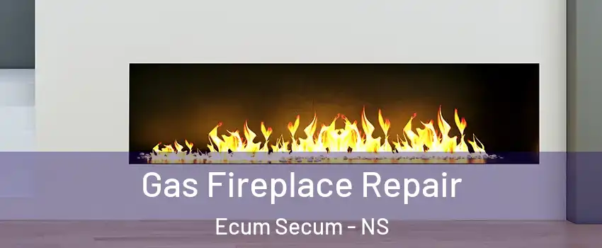  Gas Fireplace Repair Ecum Secum - NS