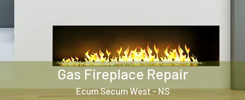  Gas Fireplace Repair Ecum Secum West - NS