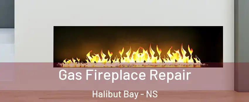  Gas Fireplace Repair Halibut Bay - NS