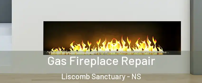  Gas Fireplace Repair Liscomb Sanctuary - NS