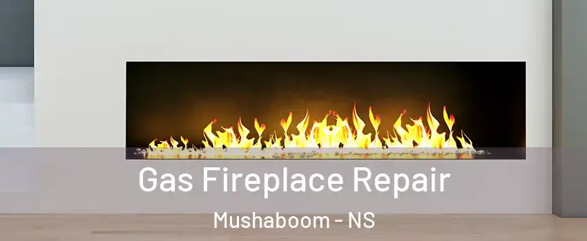  Gas Fireplace Repair Mushaboom - NS