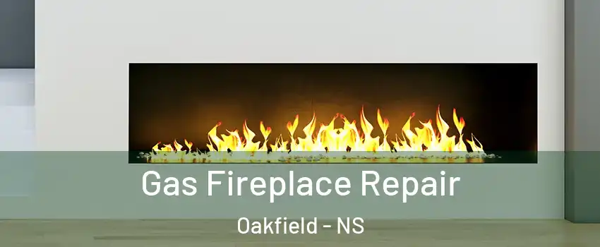  Gas Fireplace Repair Oakfield - NS