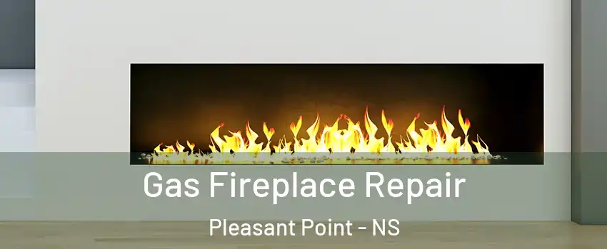  Gas Fireplace Repair Pleasant Point - NS