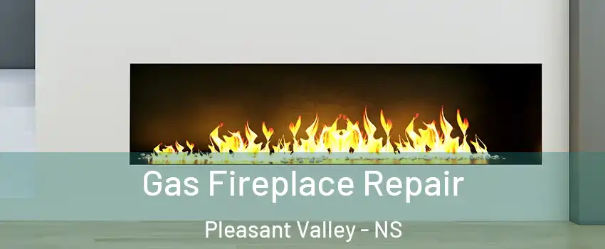  Gas Fireplace Repair Pleasant Valley - NS