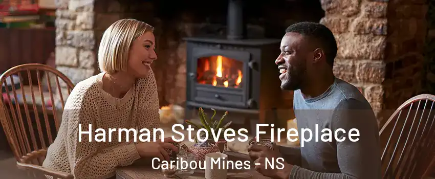  Harman Stoves Fireplace Caribou Mines - NS