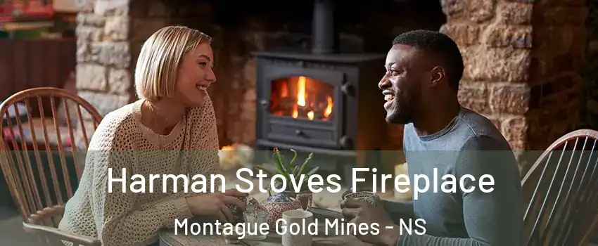  Harman Stoves Fireplace Montague Gold Mines - NS