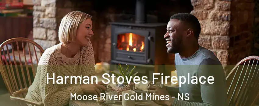  Harman Stoves Fireplace Moose River Gold Mines - NS