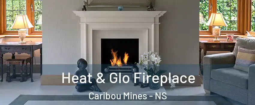  Heat & Glo Fireplace Caribou Mines - NS