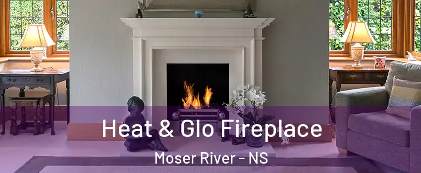  Heat & Glo Fireplace Moser River - NS