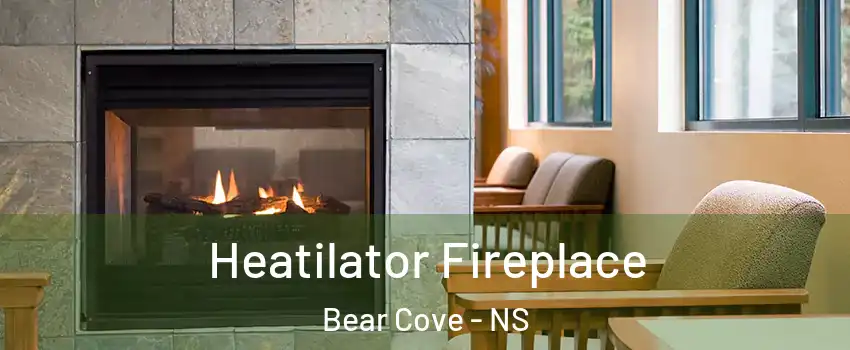  Heatilator Fireplace Bear Cove - NS