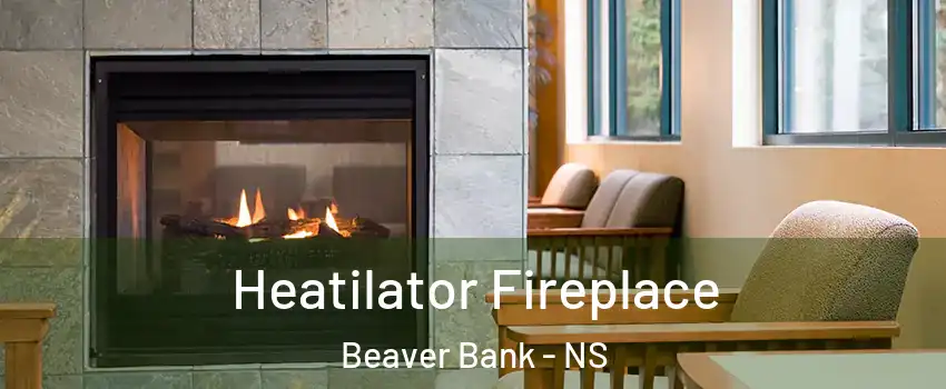  Heatilator Fireplace Beaver Bank - NS