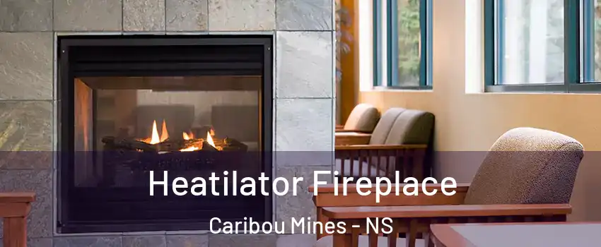  Heatilator Fireplace Caribou Mines - NS