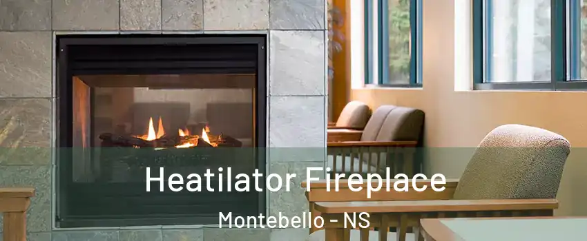  Heatilator Fireplace Montebello - NS